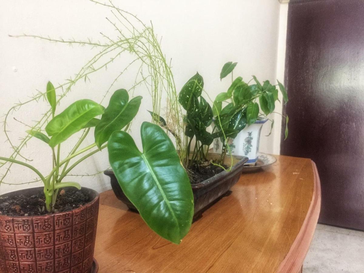Little Cozy Homestay Kota Bharu Zewnętrze zdjęcie